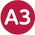 A3